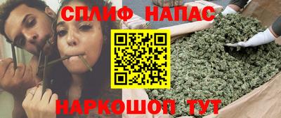стафф Малоярославец