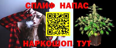стафф Малоярославец