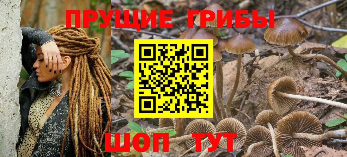 Галлюциногенные грибы Cubensis Тайшет